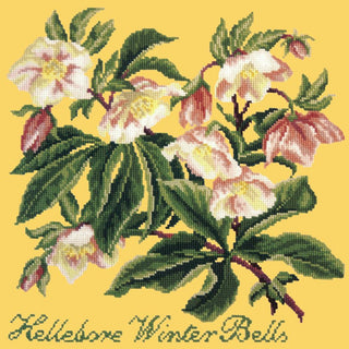 Hellebore Winter Bells Needlepoint Kit Kits Elizabeth Bradley Design Sunflower Yellow 
