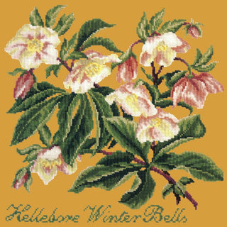 Hellebore Winter Bells Needlepoint Kit Kits Elizabeth Bradley Design Yellow 

