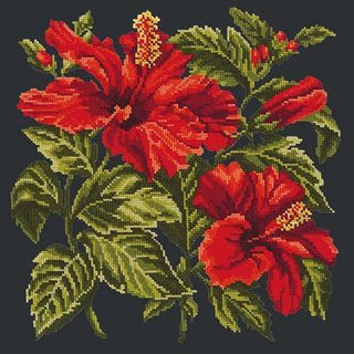 Hibiscus Needlepoint Kit Kits Elizabeth Bradley Design Black 
