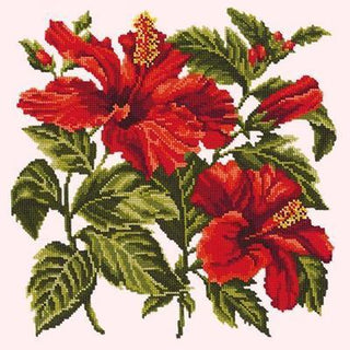 Hibiscus Needlepoint Kit Kits Elizabeth Bradley Design Cream 

