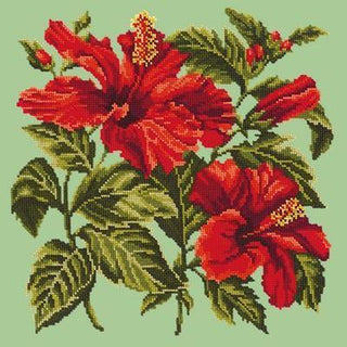 Hibiscus Needlepoint Kit Kits Elizabeth Bradley Design Pale Green 
