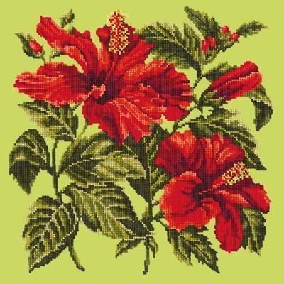 Hibiscus Needlepoint Kit Kits Elizabeth Bradley Design Pale Lime 

