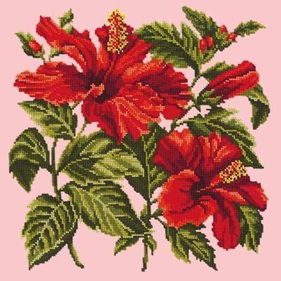 Hibiscus Needlepoint Kit Kits Elizabeth Bradley Design Pale Rose 
