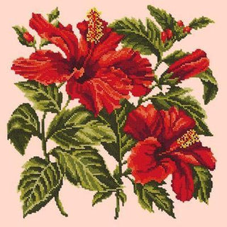 Hibiscus Needlepoint Kit Kits Elizabeth Bradley Design Salmon Pink 

