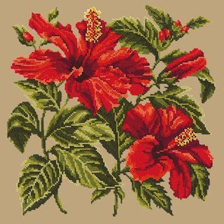 Hibiscus Needlepoint Kit Kits Elizabeth Bradley Design Sand 
