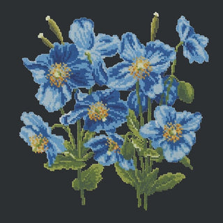 Himalayan Poppy Kits Elizabeth Bradley Design Black 
