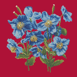 Himalayan Poppy Kits Elizabeth Bradley Design Bright Red 
