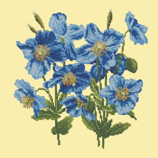 Himalayan Poppy Kits Elizabeth Bradley Design Butter Yellow 
