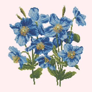 Himalayan Poppy Kits Elizabeth Bradley Design Cream 
