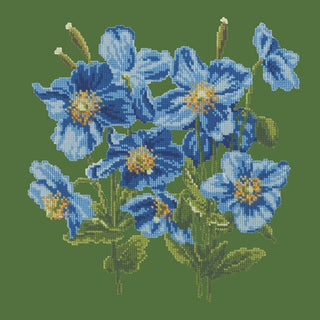 Himalayan Poppy Kits Elizabeth Bradley Design Dark Green 
