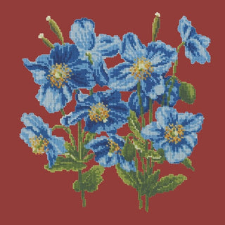 Himalayan Poppy Kits Elizabeth Bradley Design Dark Red 
