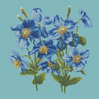 Himalayan Poppy Kits Elizabeth Bradley Design Duck Egg Blue 

