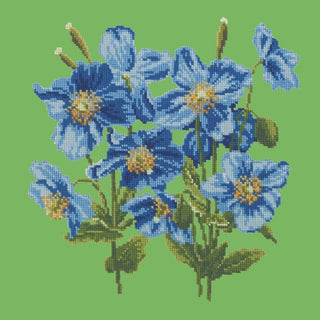 Himalayan Poppy Kits Elizabeth Bradley Design Grass Green 
