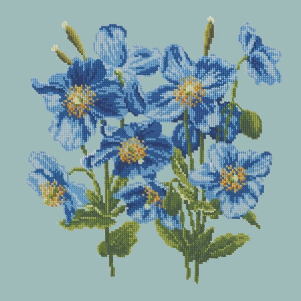 Himalayan Poppy Kits Elizabeth Bradley Design Pale Blue 