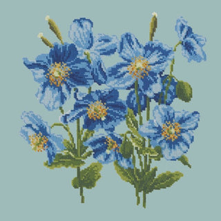 Himalayan Poppy Kits Elizabeth Bradley Design Pale Blue 
