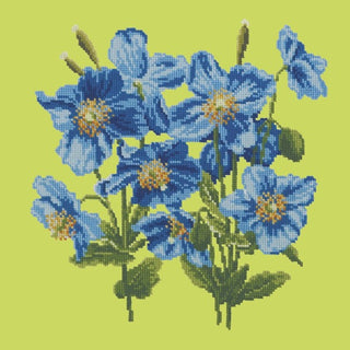 Himalayan Poppy Kits Elizabeth Bradley Design Pale Lime 
