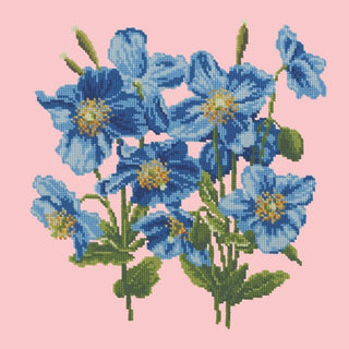 Himalayan Poppy Kits Elizabeth Bradley Design Pale Rose 
