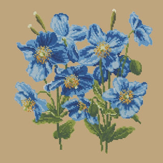 Himalayan Poppy Kits Elizabeth Bradley Design Sand 
