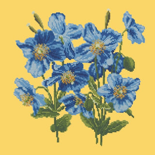 Himalayan Poppy Kits Elizabeth Bradley Design Sunflower Yellow 
