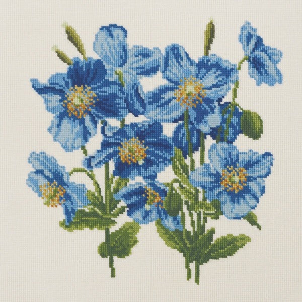 Himalayan Poppy Kits Elizabeth Bradley Design Winter White 

