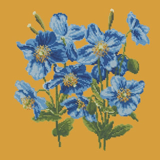 Himalayan Poppy Kits Elizabeth Bradley Design Yellow 
