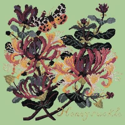 Honeysuckle Needlepoint Kit Kits Elizabeth Bradley Design Pale Green 
