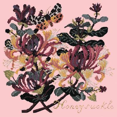 Honeysuckle Needlepoint Kit Kits Elizabeth Bradley Design Pale Rose 
