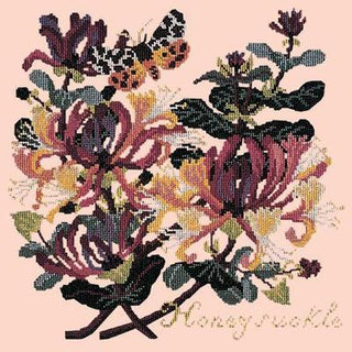 Honeysuckle Needlepoint Kit Kits Elizabeth Bradley Design Salmon Pink 
