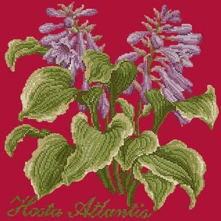 Hosta Atlantis Needlepoint Kit Kits Elizabeth Bradley Design Bright Red 
