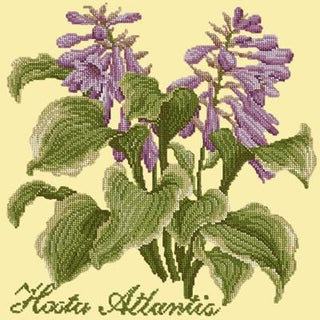 Hosta Atlantis Needlepoint Kit Kits Elizabeth Bradley Design Butter Yellow 
