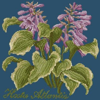 Hosta Atlantis Needlepoint Kit Kits Elizabeth Bradley Design Dark Blue 
