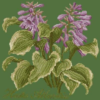 Hosta Atlantis Needlepoint Kit Kits Elizabeth Bradley Design Dark Green 
