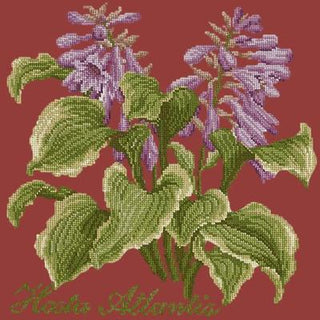 Hosta Atlantis Needlepoint Kit Kits Elizabeth Bradley Design Dark Red 
