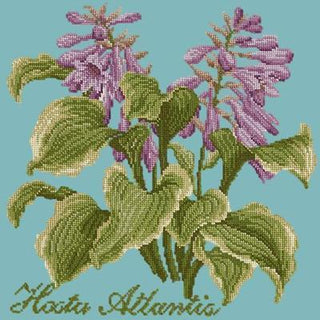 Hosta Atlantis Needlepoint Kit Kits Elizabeth Bradley Design Duck Egg Blue 
