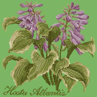 Hosta Atlantis Needlepoint Kit Kits Elizabeth Bradley Design Grass Green 
