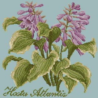 Hosta Atlantis Needlepoint Kit Kits Elizabeth Bradley Design Pale Blue 
