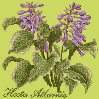 Hosta Atlantis Needlepoint Kit Kits Elizabeth Bradley Design Pale Lime 

