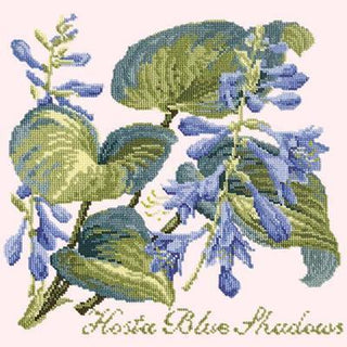 Hosta Blue Shadows Needlepoint Kit Kits Elizabeth Bradley Design Cream 
