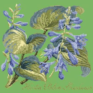 Hosta Blue Shadows Needlepoint Kit Kits Elizabeth Bradley Design Grass Green 
