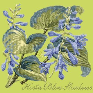 Hosta Blue Shadows Needlepoint Kit Kits Elizabeth Bradley Design Pale Lime 
