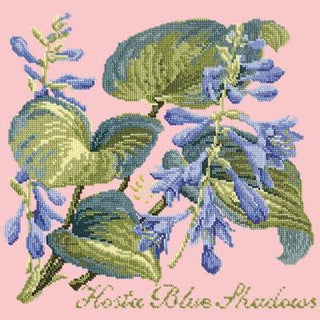 Hosta Blue Shadows Needlepoint Kit Kits Elizabeth Bradley Design Pale Rose 

