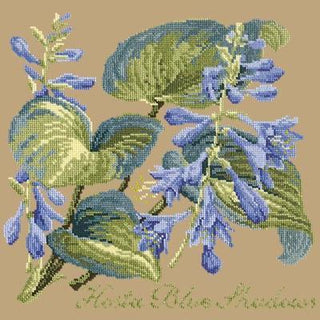 Hosta Blue Shadows Needlepoint Kit Kits Elizabeth Bradley Design Sand 
