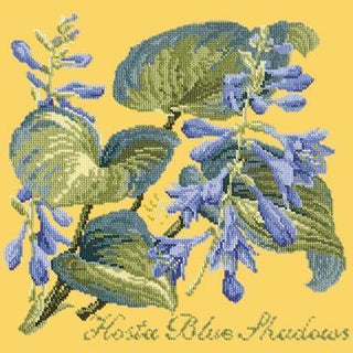 Hosta Blue Shadows Needlepoint Kit Kits Elizabeth Bradley Design Sunflower Yellow 
