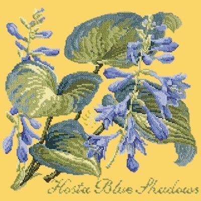 Hosta Blue Shadows Needlepoint Kit Kits Elizabeth Bradley Design Sunflower Yellow 
