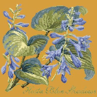 Hosta Blue Shadows Needlepoint Kit Kits Elizabeth Bradley Design Yellow 
