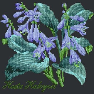 Hosta Halcyon Needlepoint Kit Kits Elizabeth Bradley Design Black 
