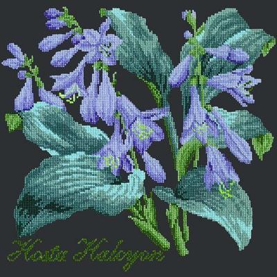 Hosta Halcyon Needlepoint Kit Kits Elizabeth Bradley Design Black 

