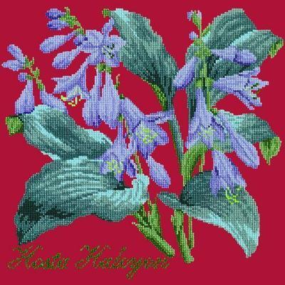 Hosta Halcyon Needlepoint Kit Kits Elizabeth Bradley Design Bright Red 
