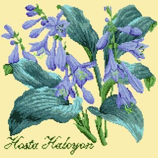 Hosta Halcyon Needlepoint Kit Kits Elizabeth Bradley Design Butter Yellow 
