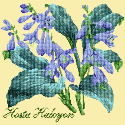 Hosta Halcyon Needlepoint Kit Kits Elizabeth Bradley Design Butter Yellow 
